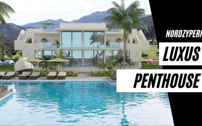 Premium Penthouse zum Spitzenpreis 🤩